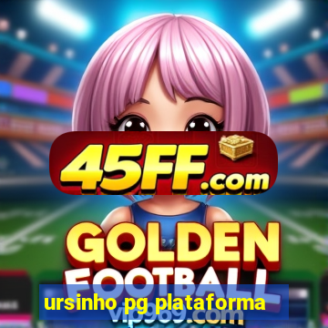 ursinho pg plataforma